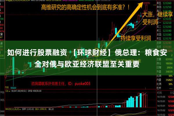 如何进行股票融资 【环球财经】俄总理：粮食安全对俄与欧亚经济联盟至关重要