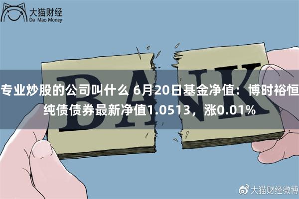 专业炒股的公司叫什么 6月20日基金净值：博时裕恒纯债债券最新净值1.0513，涨0.01%