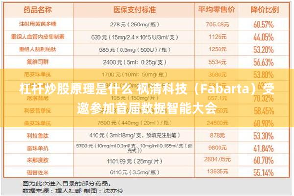 杠杆炒股原理是什么 枫清科技（Fabarta）受邀参加首届数据智能大会