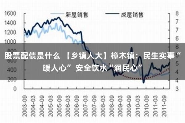 股票配债是什么 【乡镇人大】樟木镇：民生实事“暖人心” 安全饮水“润民心”