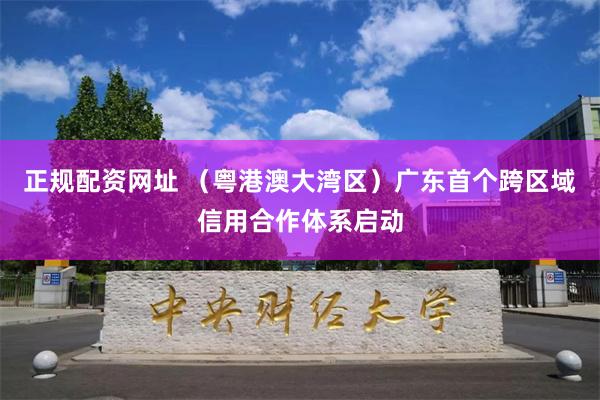 正规配资网址 （粤港澳大湾区）广东首个跨区域信用合作体系启动