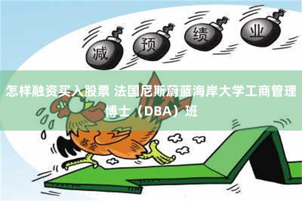 怎样融资买入股票 法国尼斯蔚蓝海岸大学工商管理博士（DBA）班