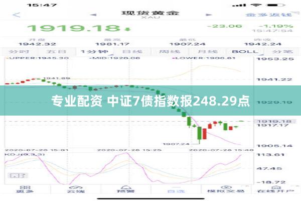 专业配资 中证7债指数报248.29点