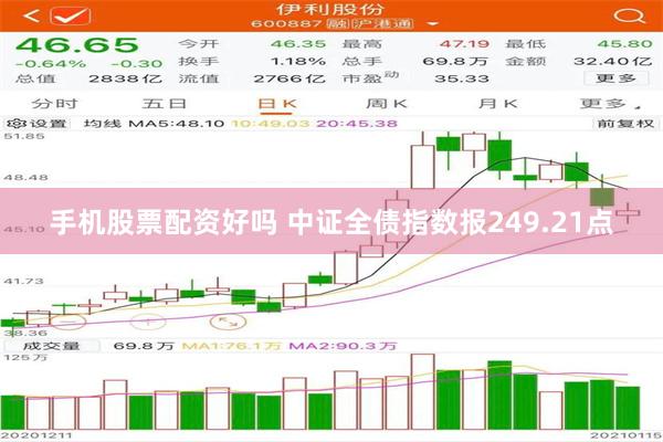 手机股票配资好吗 中证全债指数报249.21点