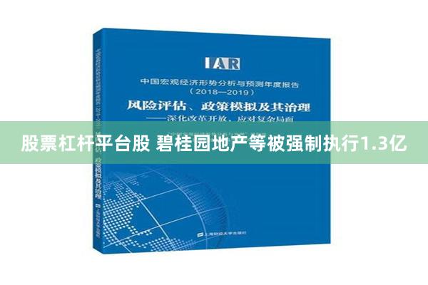 股票杠杆平台股 碧桂园地产等被强制执行1.3亿