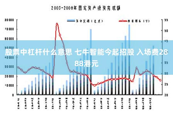 股票中杠杆什么意思 七牛智能今起招股 入场费2888港元