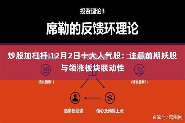 炒股加杠杆 12月2日十大人气股：注意前期妖股与领涨板块联动性