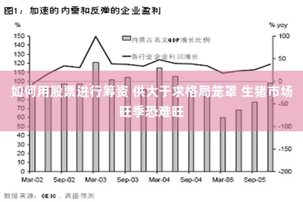 如何用股票进行筹资 供大于求格局笼罩 生猪市场旺季恐难旺