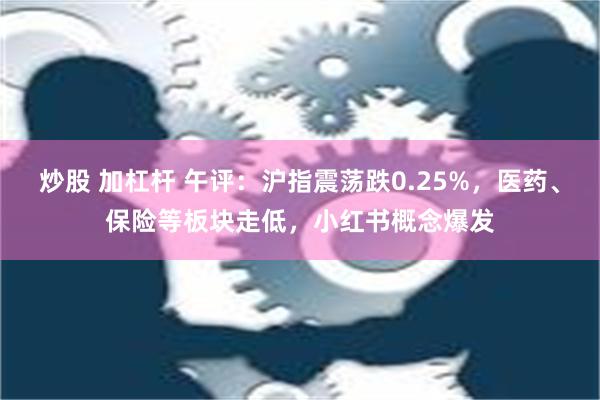 炒股 加杠杆 午评：沪指震荡跌0.25%，医药、保险等板块走低，小红书概念爆发