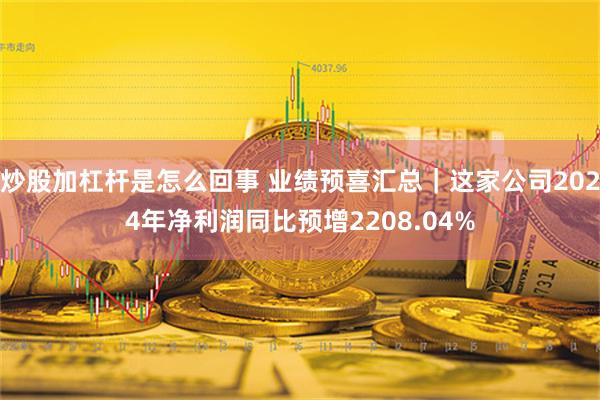 炒股加杠杆是怎么回事 业绩预喜汇总｜这家公司2024年净利润同比预增2208.04%